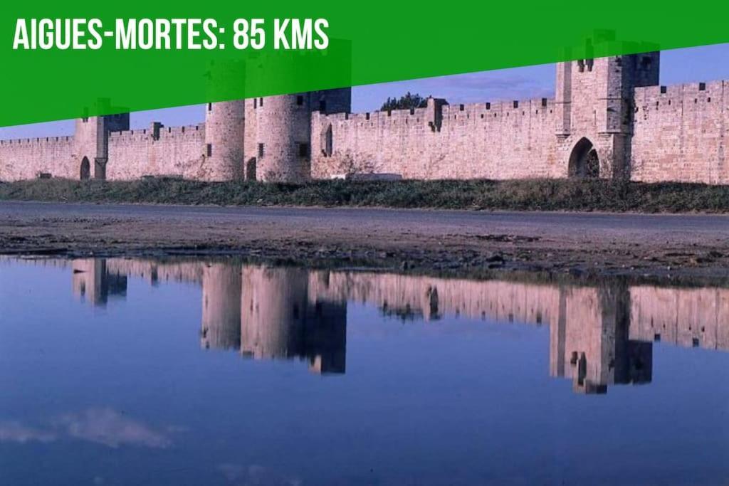 Les Felibres Daire Avinyon Dış mekan fotoğraf